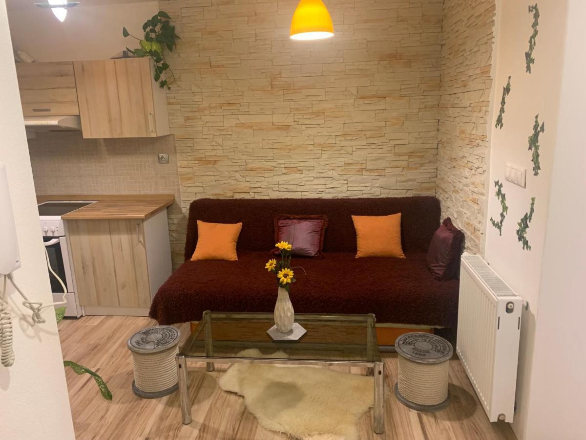 Apartmán Slunečnice s terasou Ceske Budejovice Exterior foto