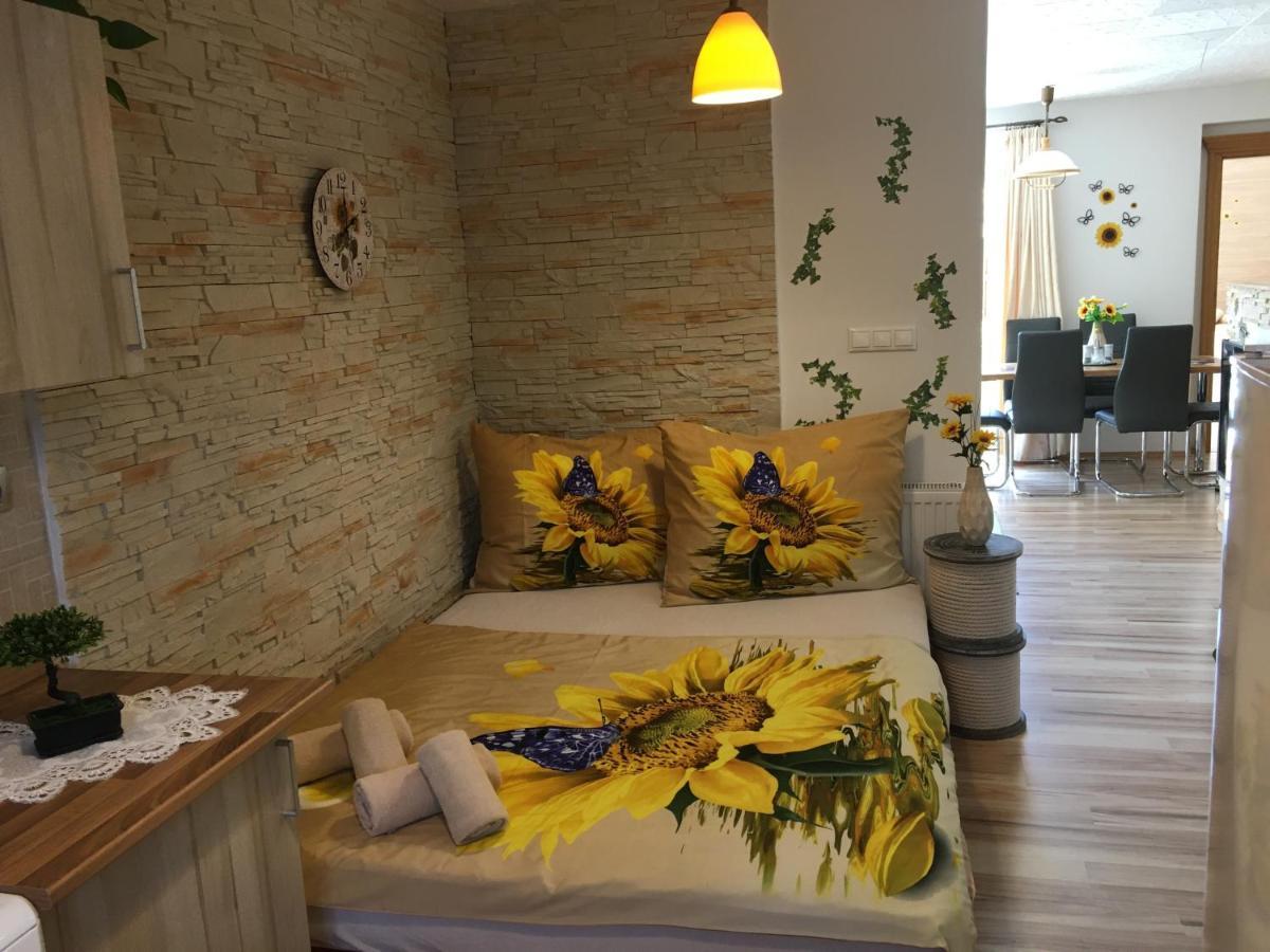 Apartmán Slunečnice s terasou Ceske Budejovice Exterior foto