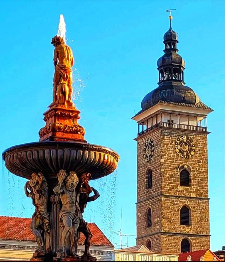 Apartmán Slunečnice s terasou Ceske Budejovice Exterior foto