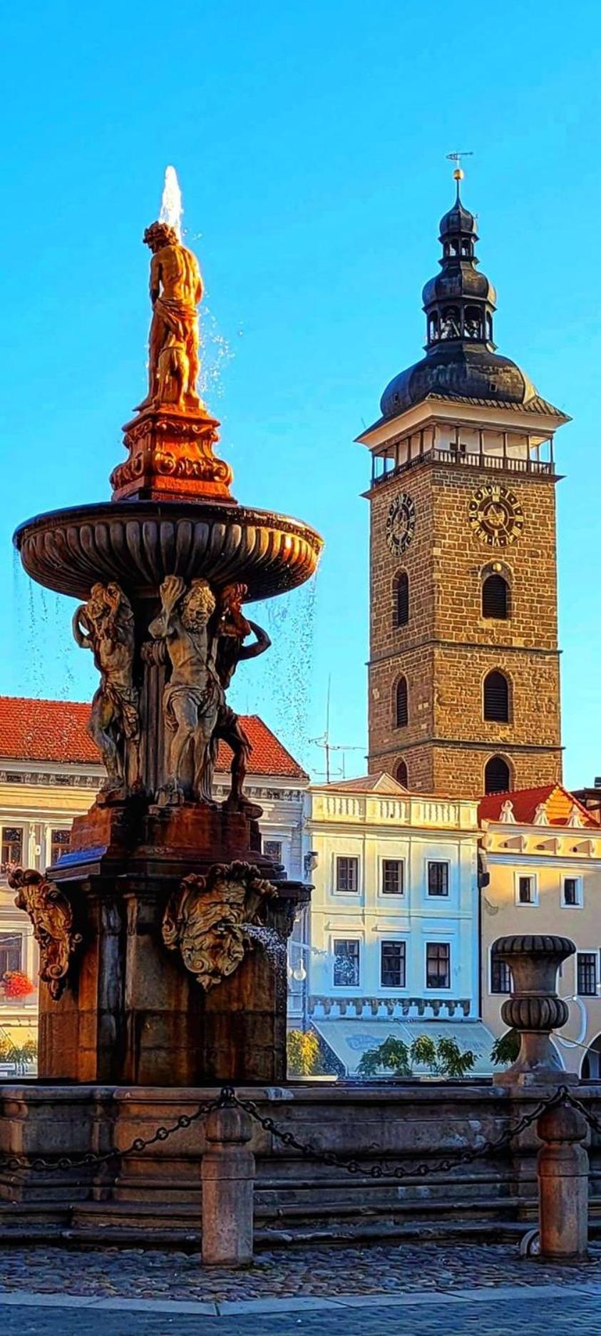 Apartmán Slunečnice s terasou Ceske Budejovice Exterior foto